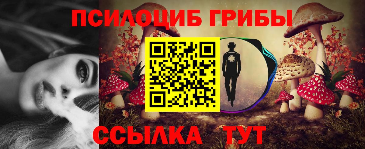 Галлюциногенные грибы мухоморы Армавир
